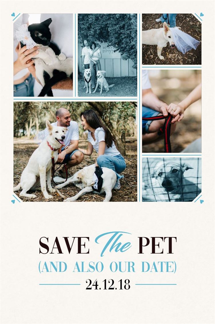 Save the Pet: כשהאהבה לבעלי חיים מתגלמת בחתונה 4
